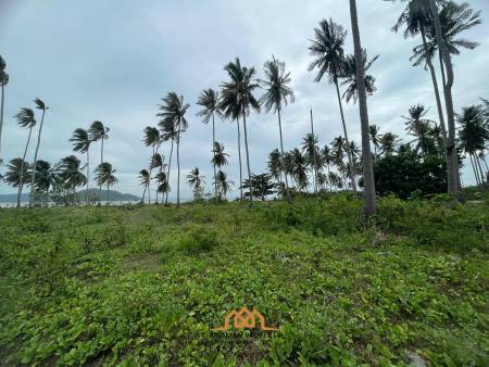 4,200 SQ.M Flat land near the Beach Had Leam Sor