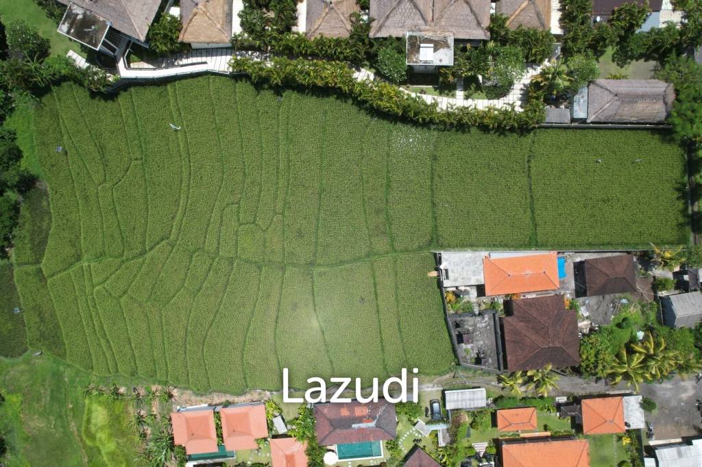 Brand New Villa 100m from Seseh beach