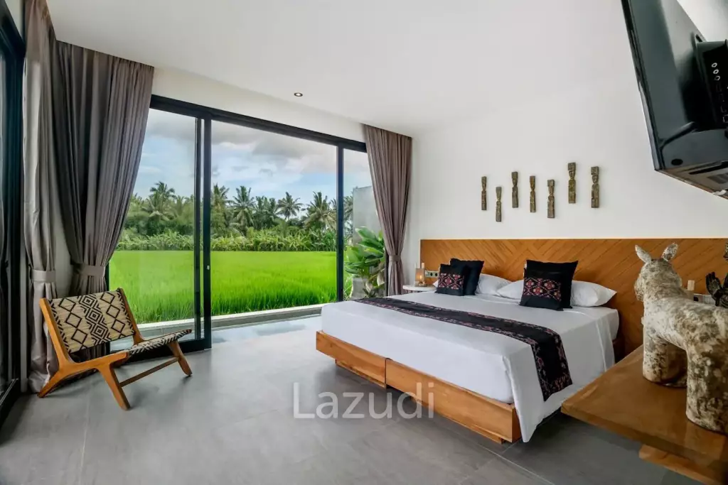 Modern Beautiful Villa in Ubud