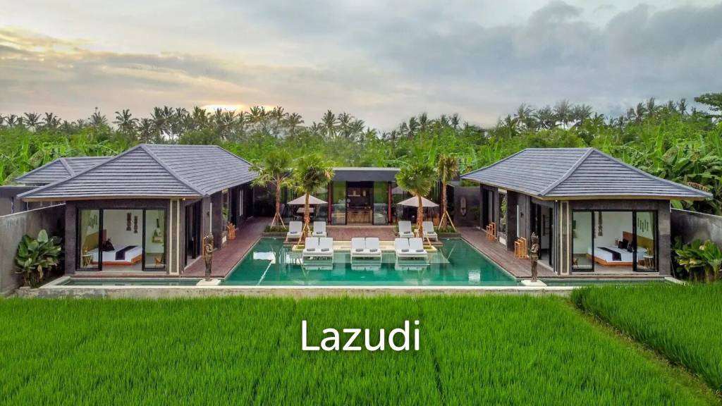 Modern Beautiful Villa in Ubud