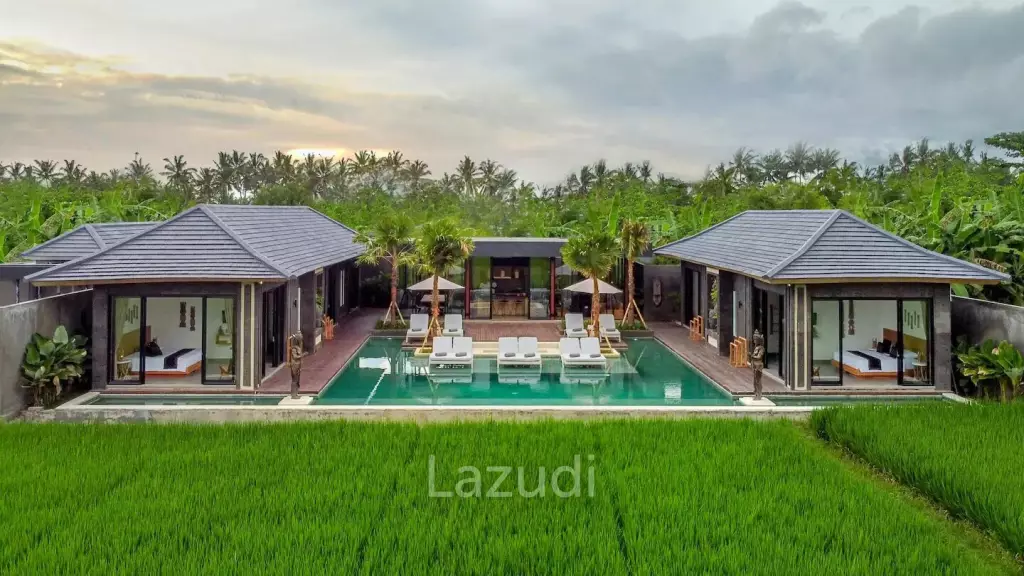Modern Beautiful Villa in Ubud