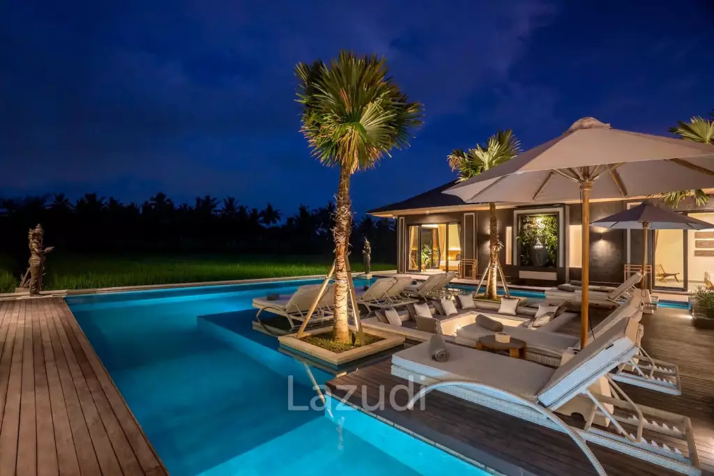 Modern Beautiful Villa in Ubud