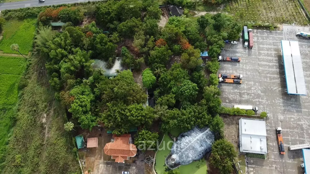 Peaceful Land Plot (8 Rai) : Cha Am