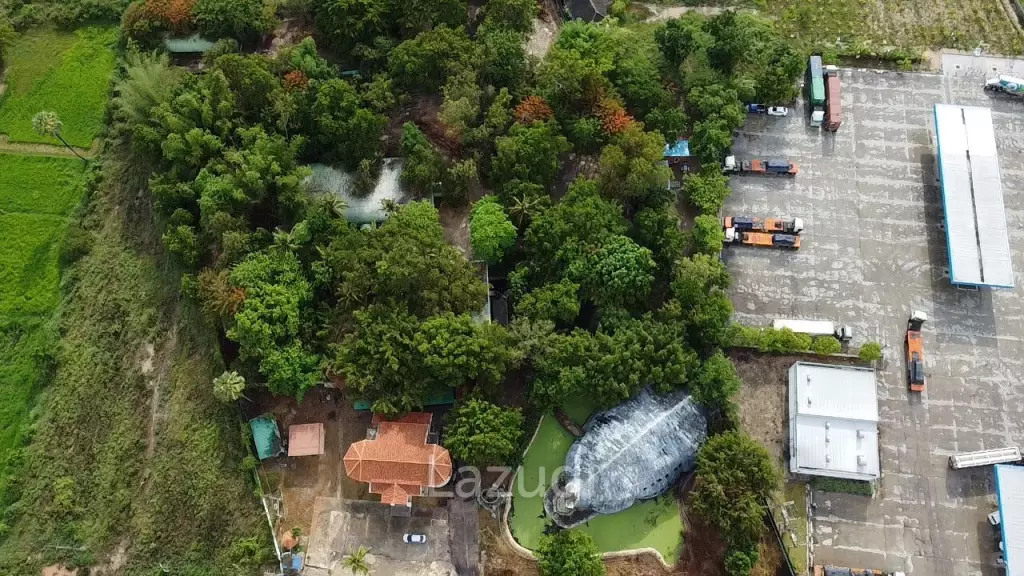Peaceful Land Plot (8 Rai) : Cha Am