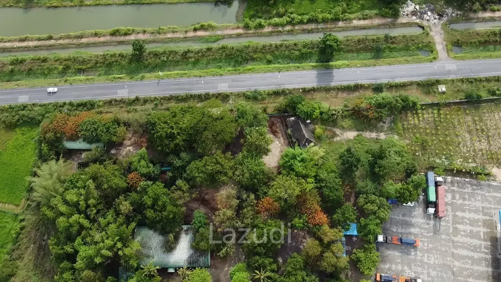 Peaceful Land Plot (8 Rai) : Cha Am