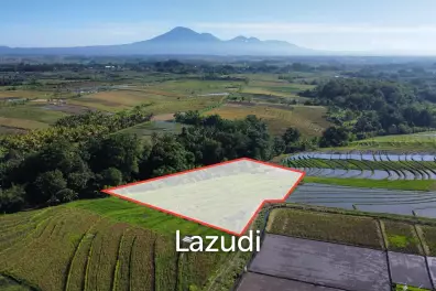 Mountain and Ocean View Land for Sale in Kelating, Tabanan
