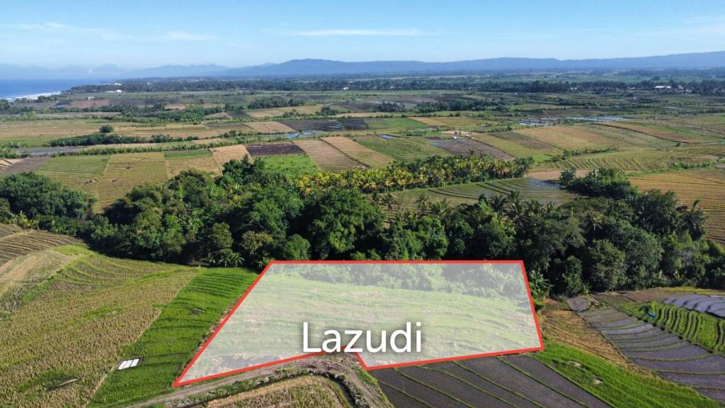 Mountain and Ocean View Land for Sale in Kelating, Tabanan