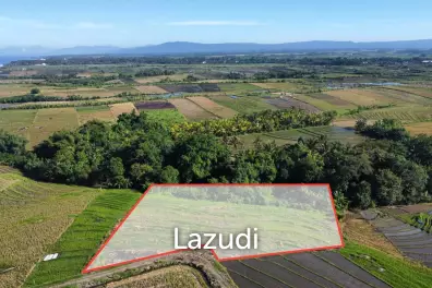 Mountain and Ocean View Land for Sale in Kelating, Tabanan