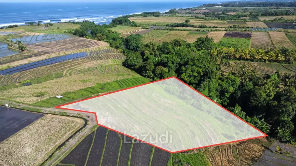 Mountain and Ocean View Land for Sale in Kelating, Tabanan