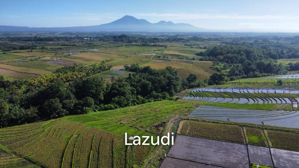 Mountain and Ocean View Land for Sale in Kelating, Tabanan