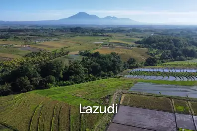 Mountain and Ocean View Land for Sale in Kelating, Tabanan