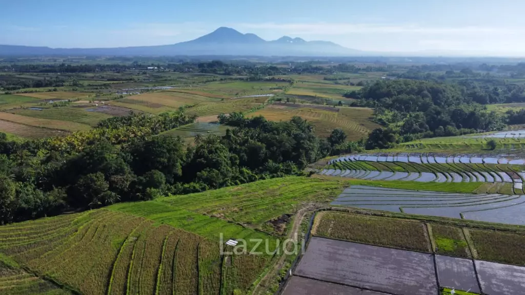 Mountain and Ocean View Land for Sale in Kelating, Tabanan