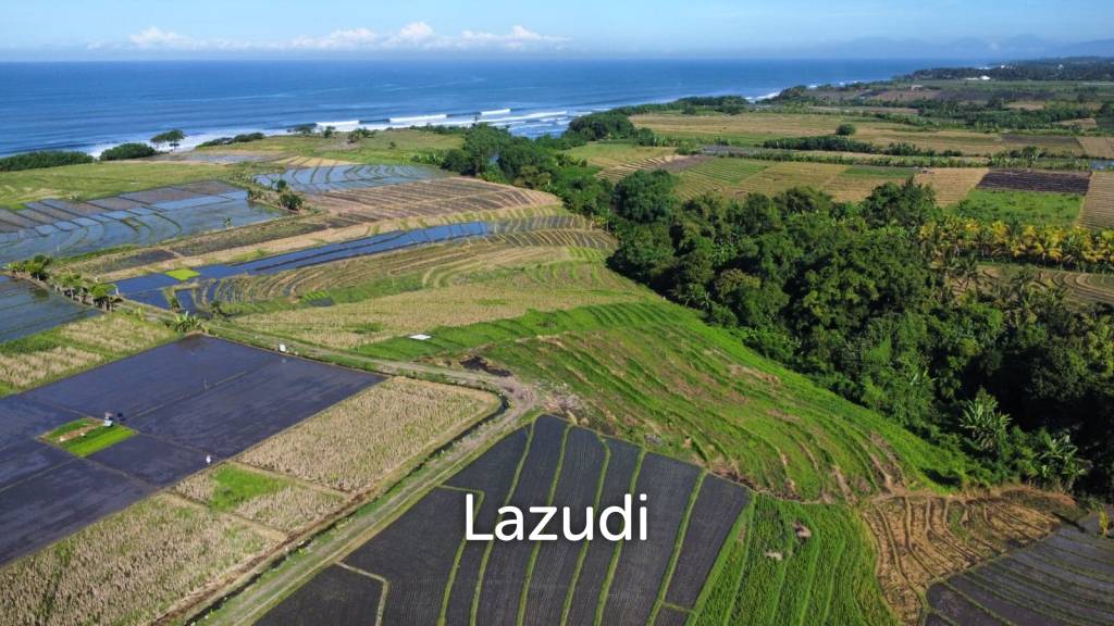 Mountain and Ocean View Land for Sale in Kelating, Tabanan