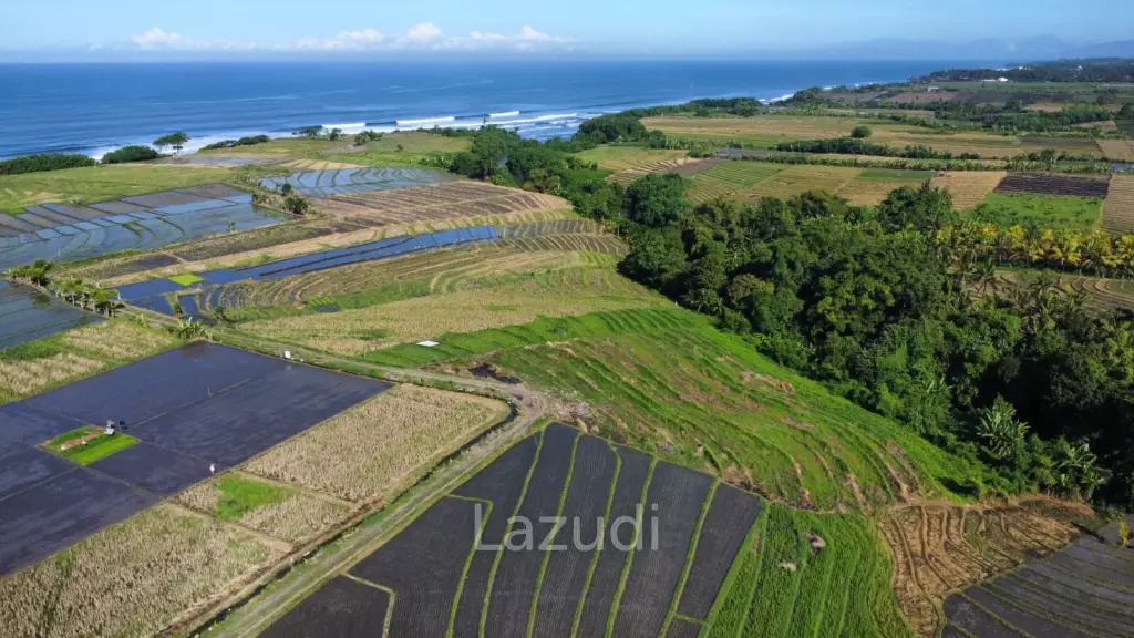 Mountain and Ocean View Land for Sale in Kelating, Tabanan