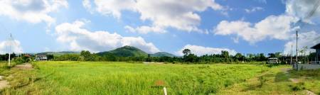 8,400 SQ.M Land Plot in Lipa Noi Koh Samui