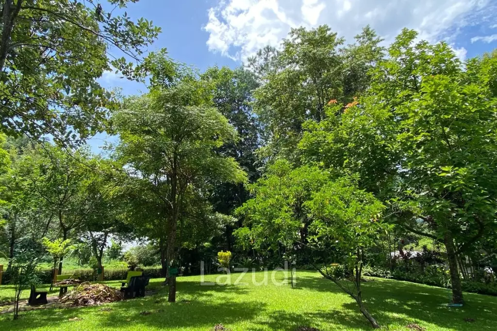 2 Bed 350 SQ.M Quiet County House in the nature