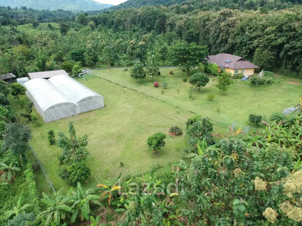 3 Bedrooms Beautiful House/Farm for Sale