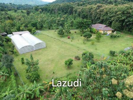 3 Bedrooms Beautiful House/Farm for Sale