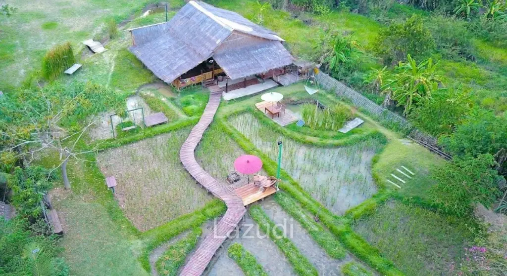 4-Star Luxury Boutique Resort with license