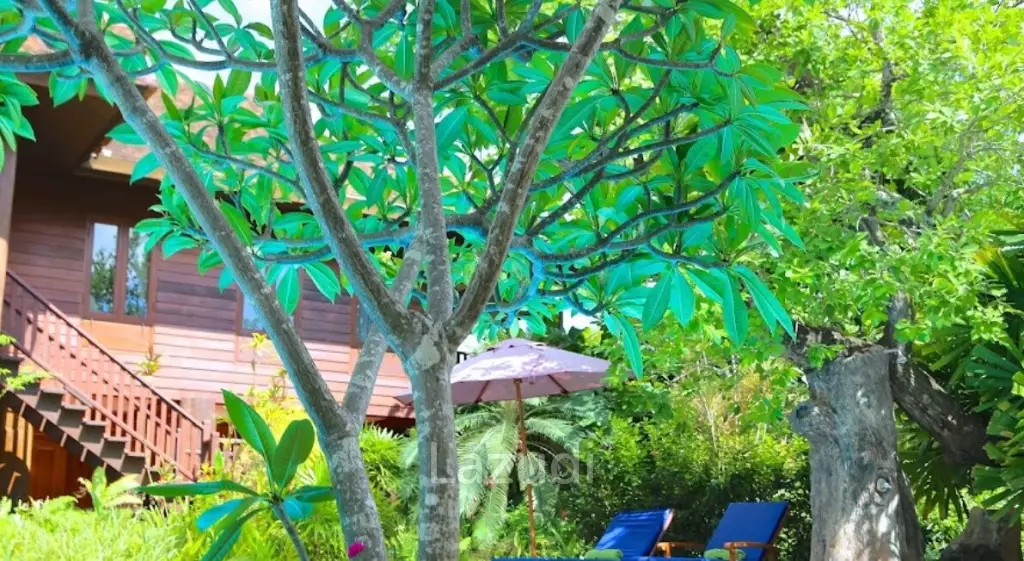 4-Star Luxury Boutique Resort with license
