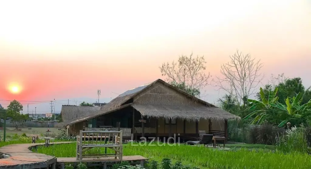 4-Star Luxury Boutique Resort with license