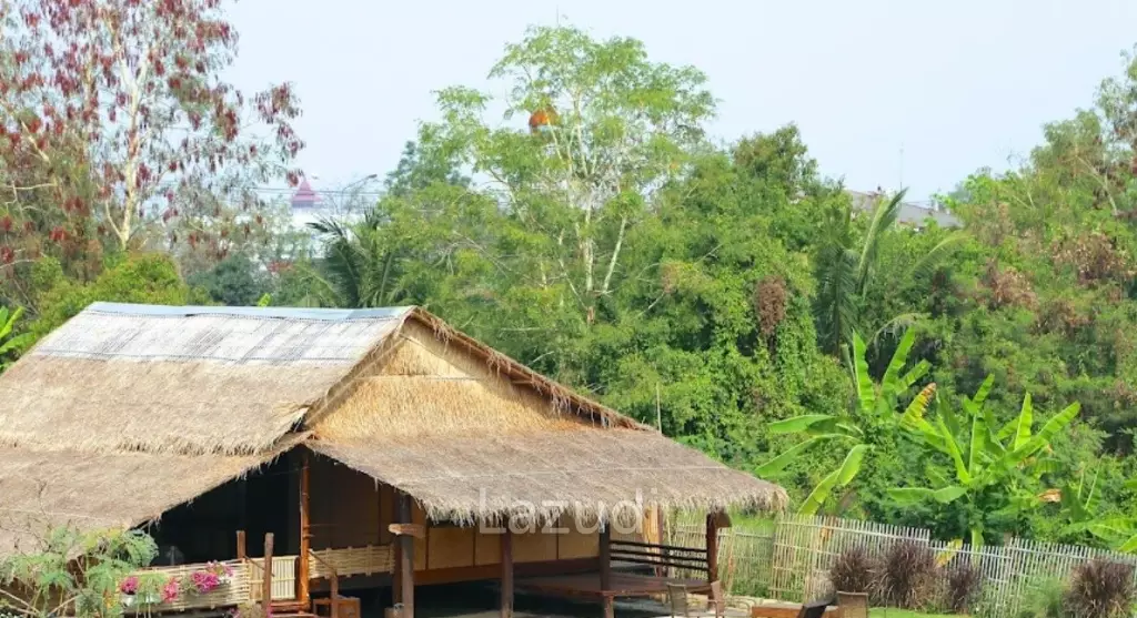 4-Star Luxury Boutique Resort with license
