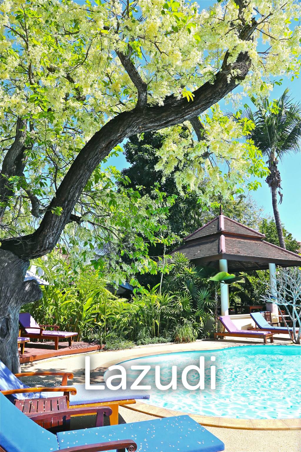 4-Star Luxury Boutique Resort with license