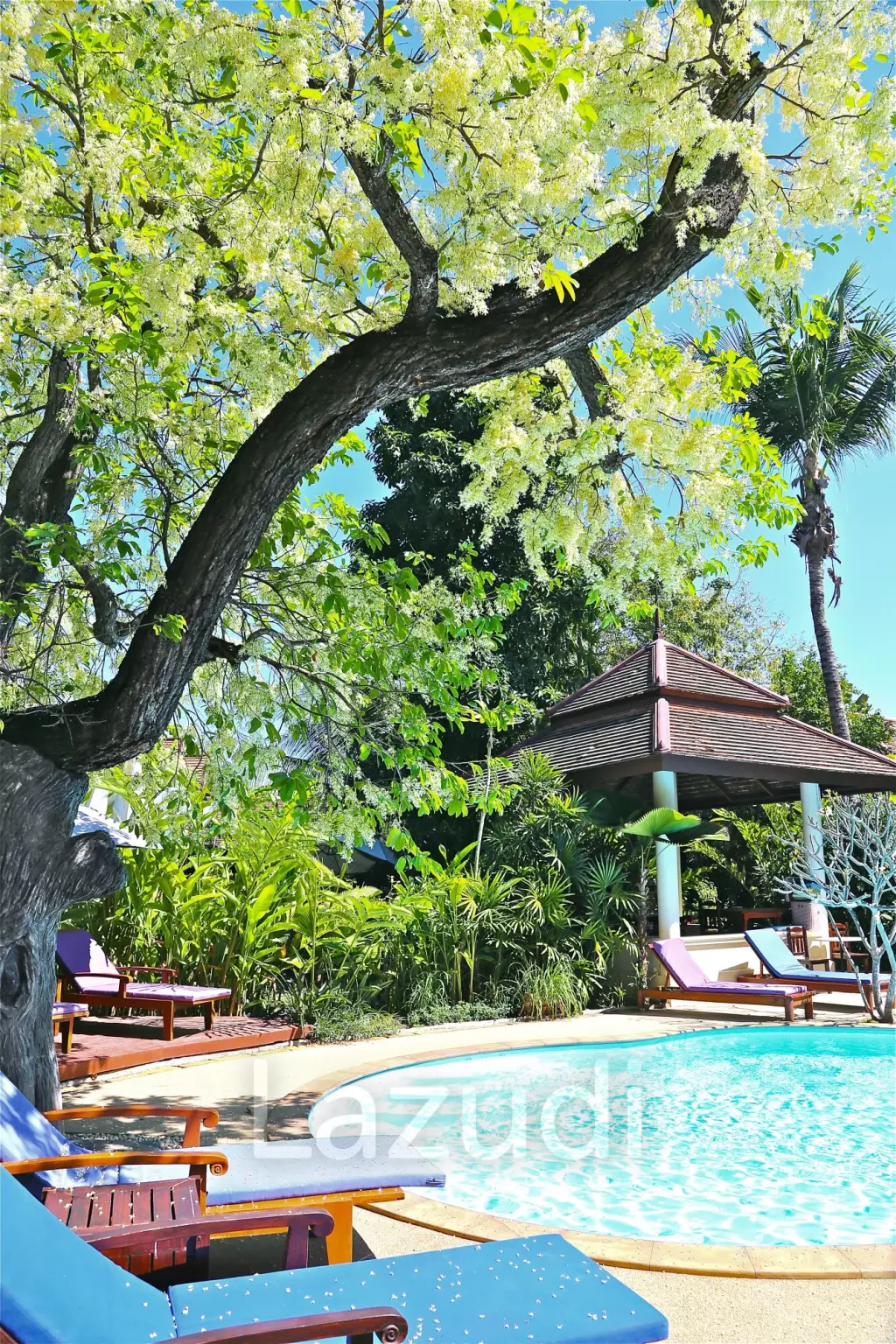 4-Star Luxury Boutique Resort with license