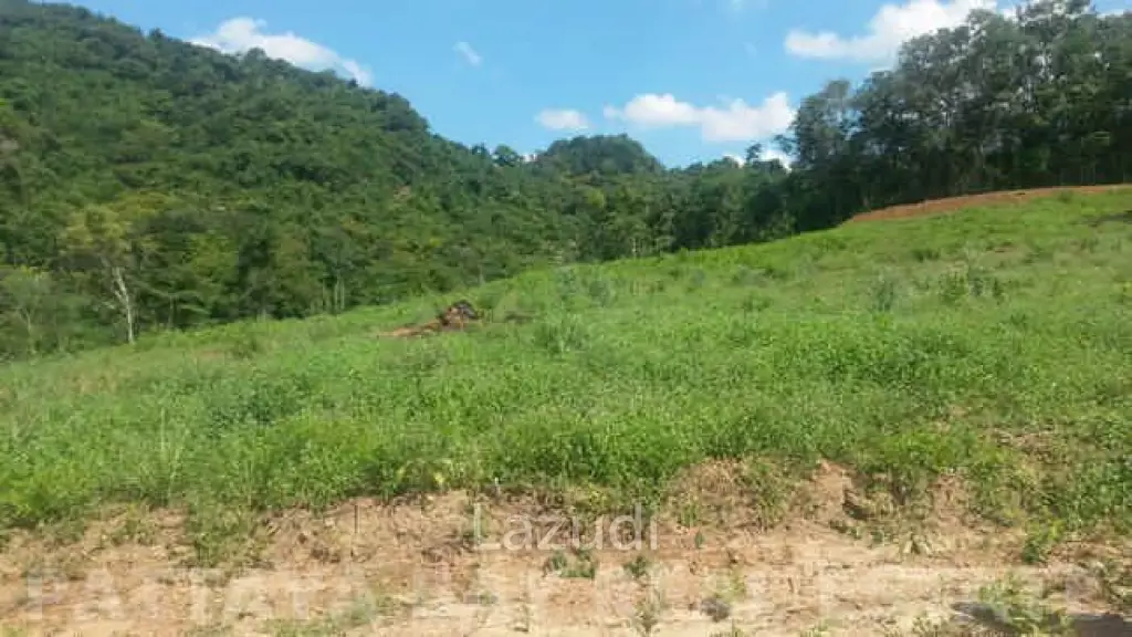 Land For Sale Silverlake Bang Saray