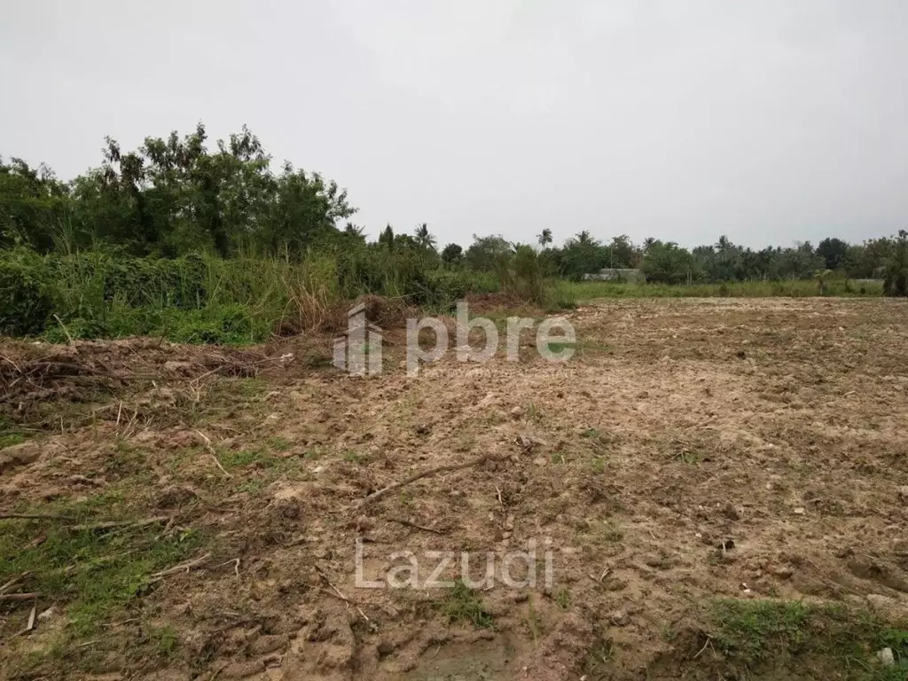 Land For Sale in Pong
