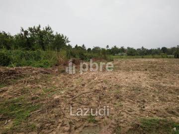 Land For Sale in Pong