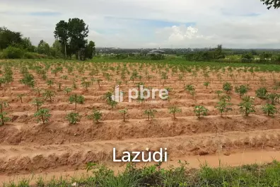 Land for sale 12 Rai in Takhian Tia