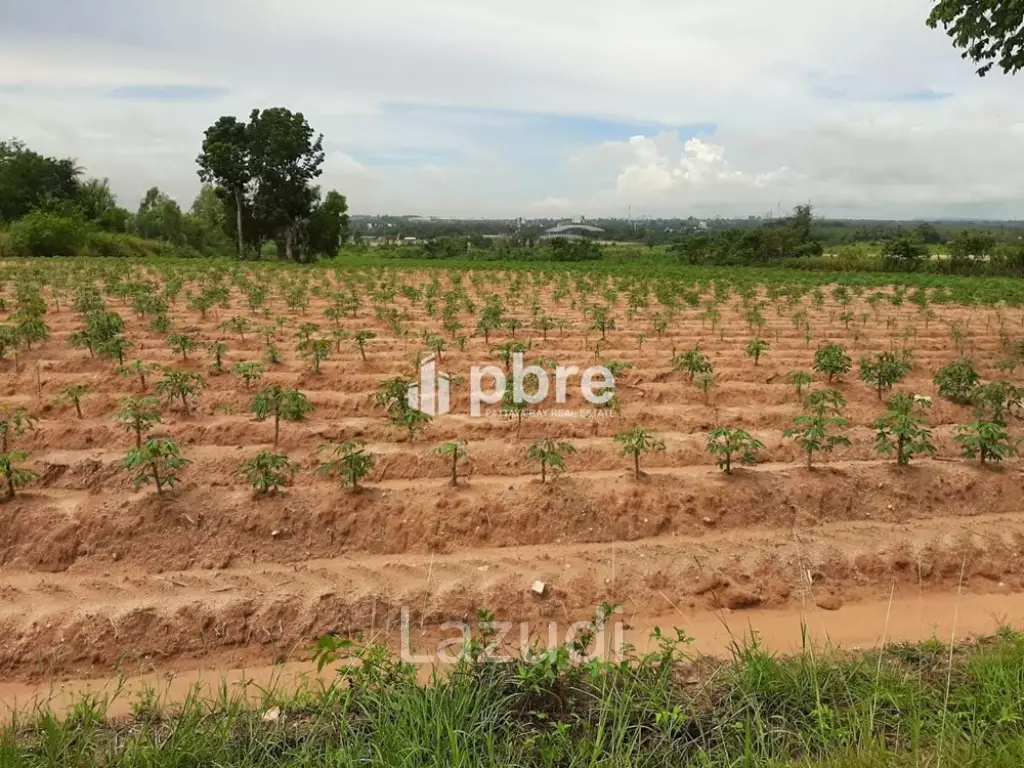 Land for sale 12 Rai in Takhian Tia