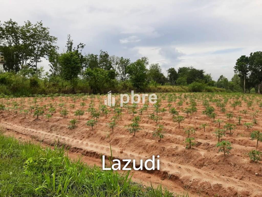 Land for sale 12 Rai in Takhian Tia
