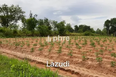 Land for sale 12 Rai in Takhian Tia