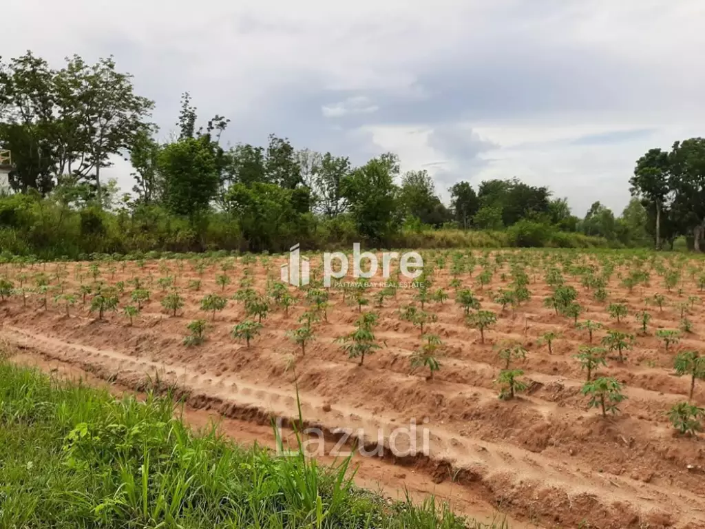 Land for sale 12 Rai in Takhian Tia
