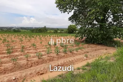 Land for sale 12 Rai in Takhian Tia