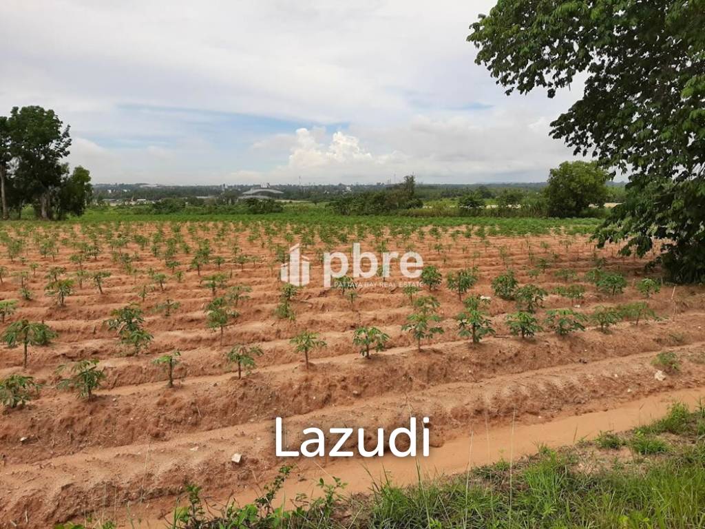 Land for sale 12 Rai in Takhian Tia