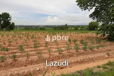 Land for sale 12 Rai in Takhian Tia