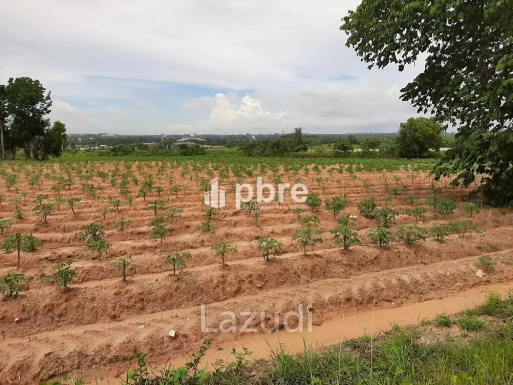 Land for sale 12 Rai in Takhian Tia