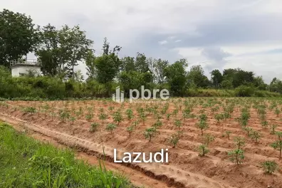 Land for sale 12 Rai in Takhian Tia