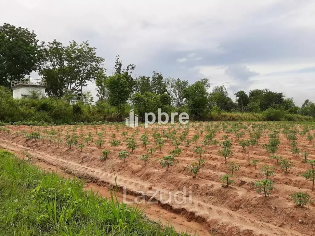 Land for sale 12 Rai in Takhian Tia