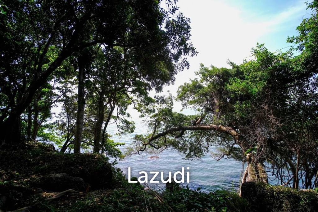 Land 37 Rai For sale in Trat