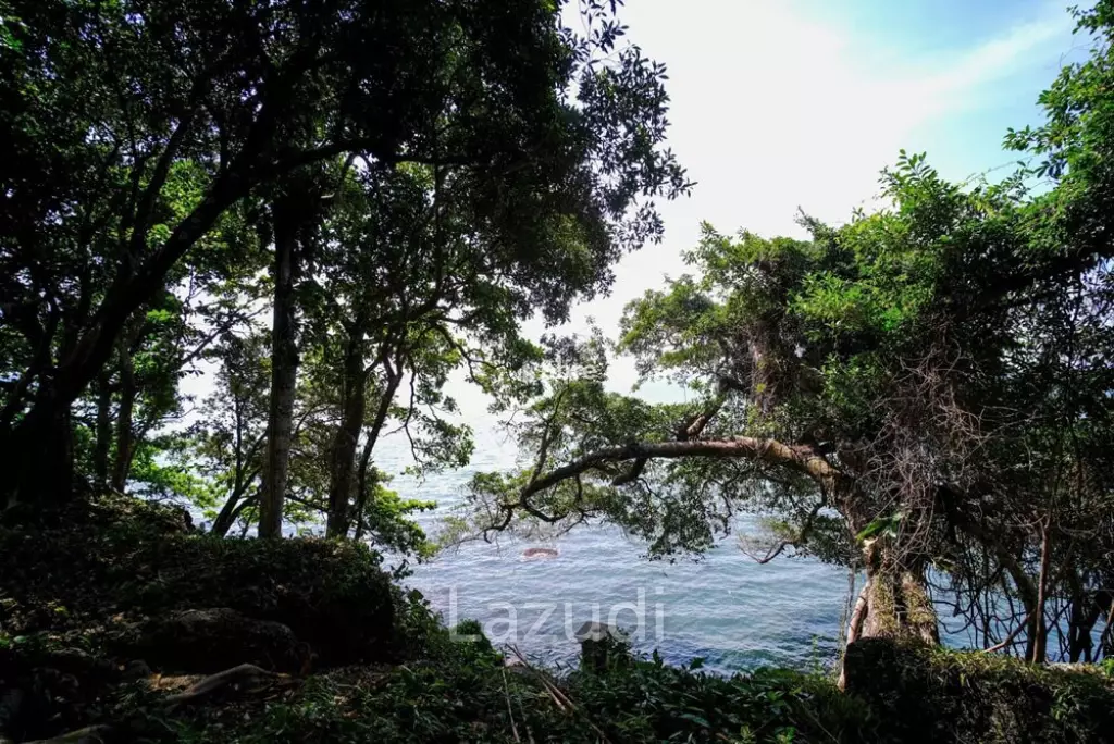 Land 37 Rai For sale in Trat