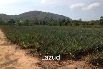 3.5 Rai of Lovely Land, nr main road with great views.