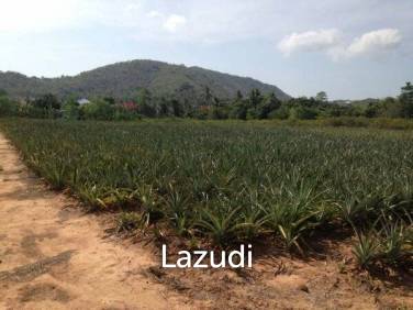 3.5 Rai of Lovely Land, nr main road with great views.