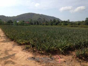 3.5 Rai of Lovely Land, nr main road with great views.
