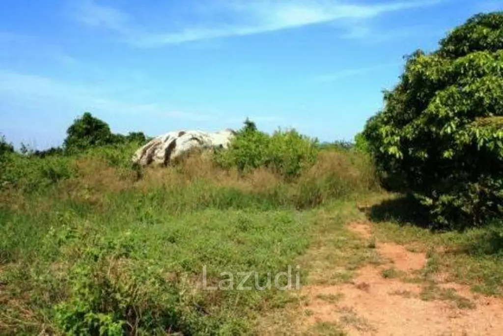 Land In Wang Pong