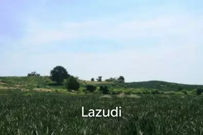 Land In Wang Pong