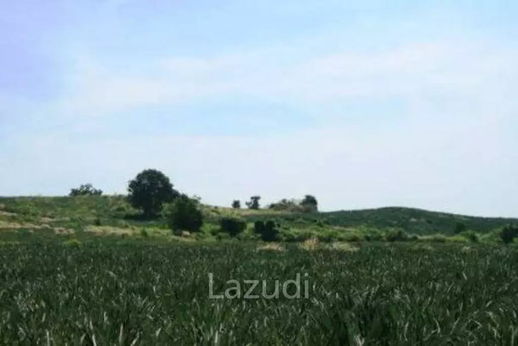 Land In Wang Pong